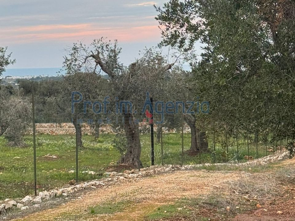 Landejendom i Carovigno, Brindisi - foto 5